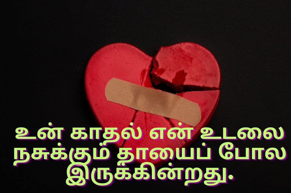 quotes in Tamil 10