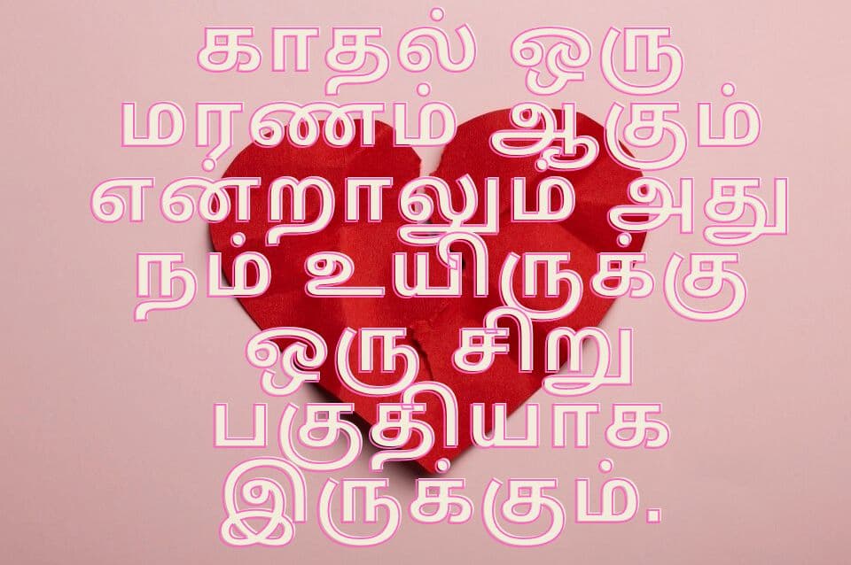 quotes in Tamil 11