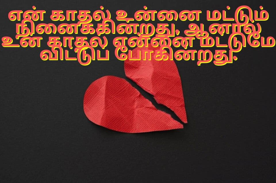 quotes in Tamil 14