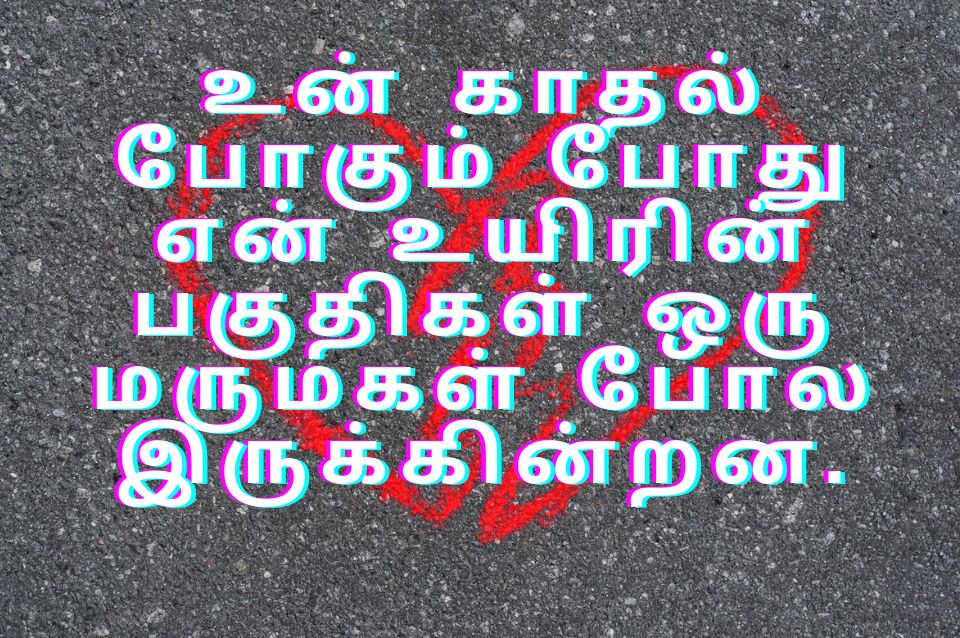 quotes in Tamil 19